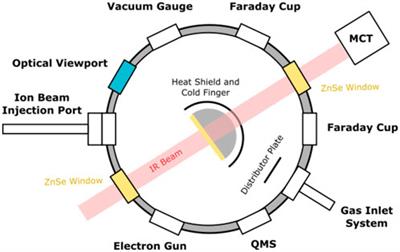 Energetic electron irradiations of amorphous and crystalline sulphur-bearing astrochemical ices